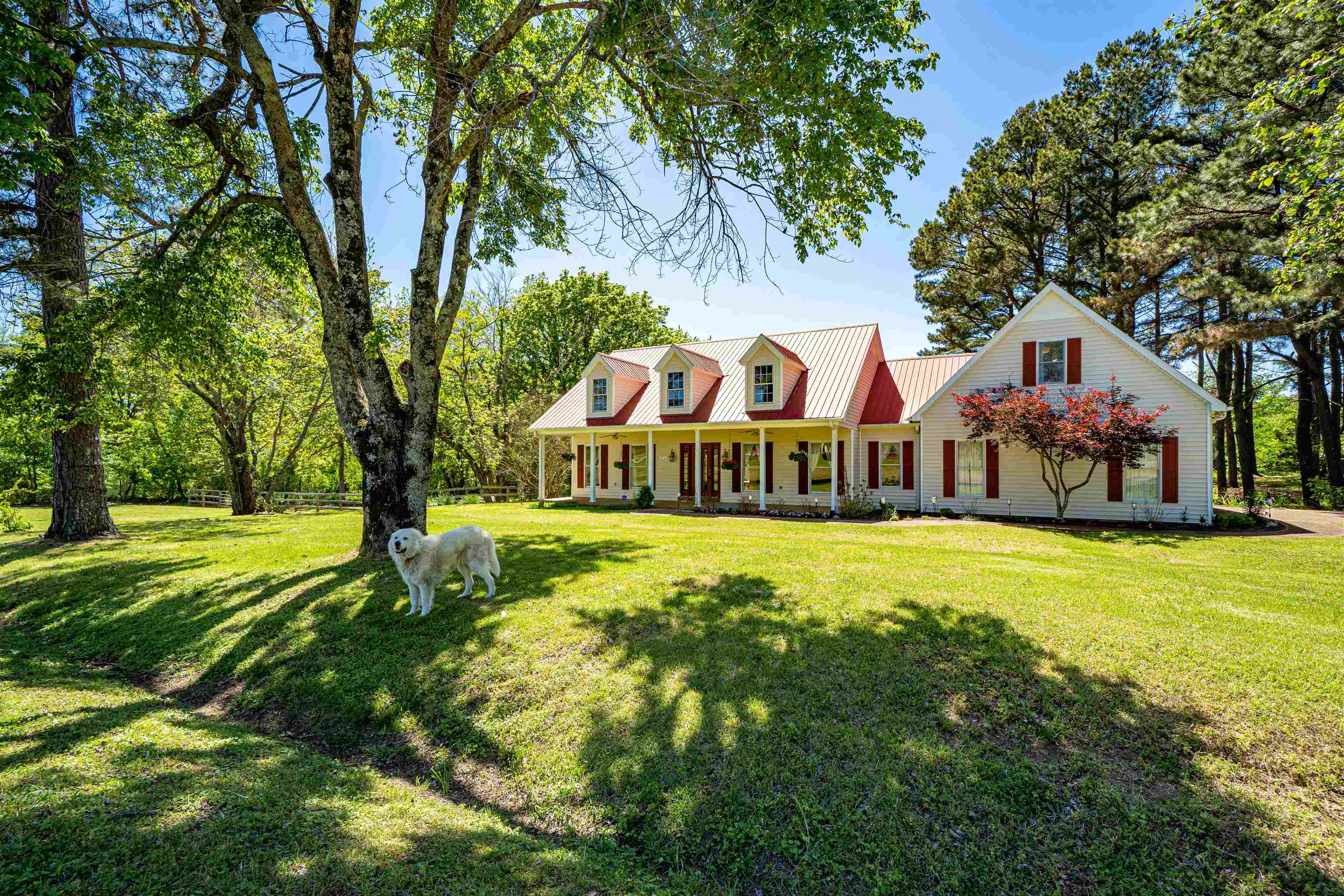 345 Allen Road Williston, TN 38076 - Photo 2 of 25 a view of an house with backyard and trees