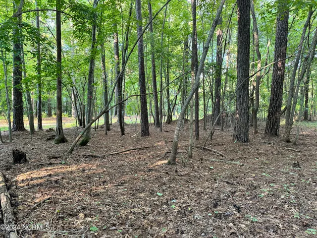 $31,500 | 81 Beans Bend, Chocowinity, NC 27817