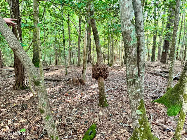 $31,500 | 81 Beans Bend, Chocowinity, NC 27817