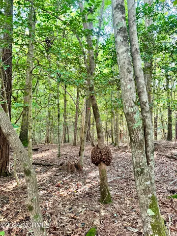 $31,500 | 81 Beans Bend, Chocowinity, NC 27817