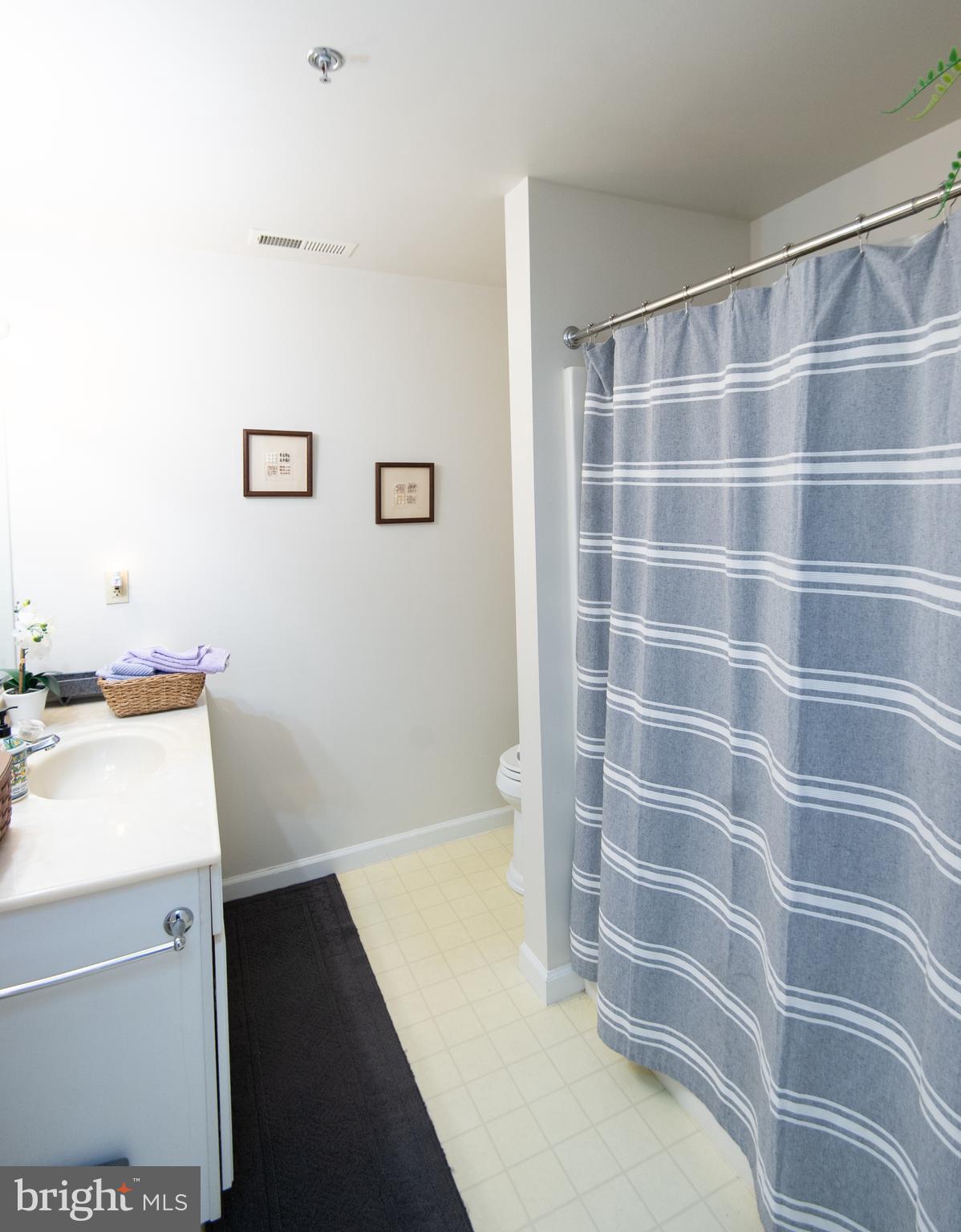 304 Academy Street, Unit 202 Cambridge, MD 21613 - Photo 23 of 40 Hall BA with tub shower