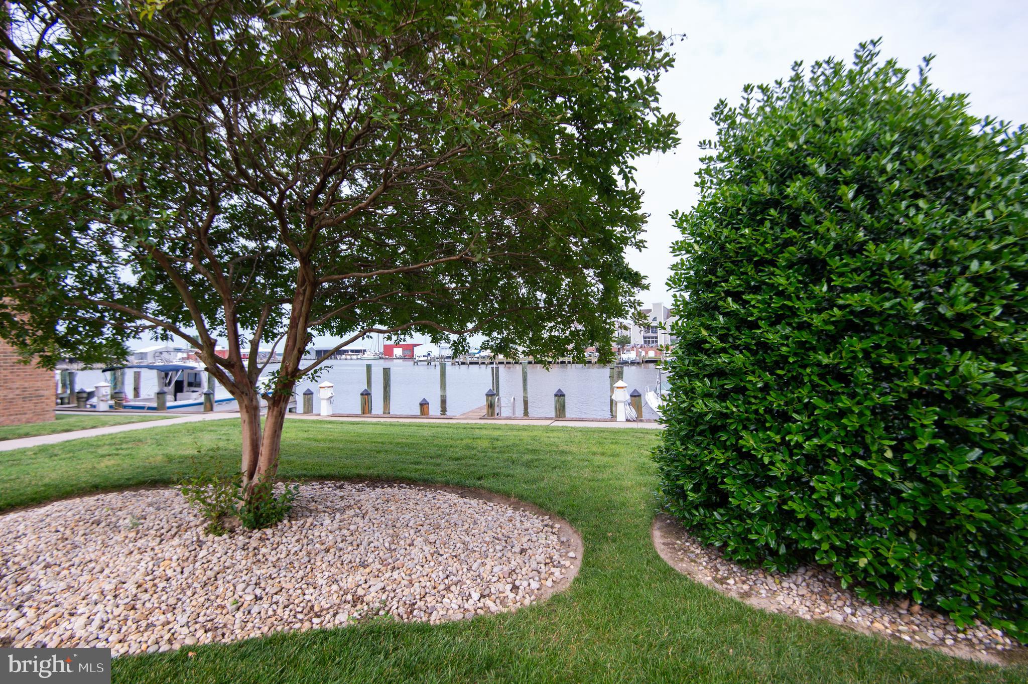 304 Academy Street, Unit 202 Cambridge, MD 21613 - Photo 30 of 40 Condo grounds with sidewalk along the water