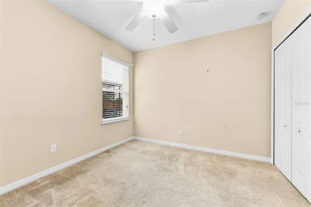 a view of a house with a large tree