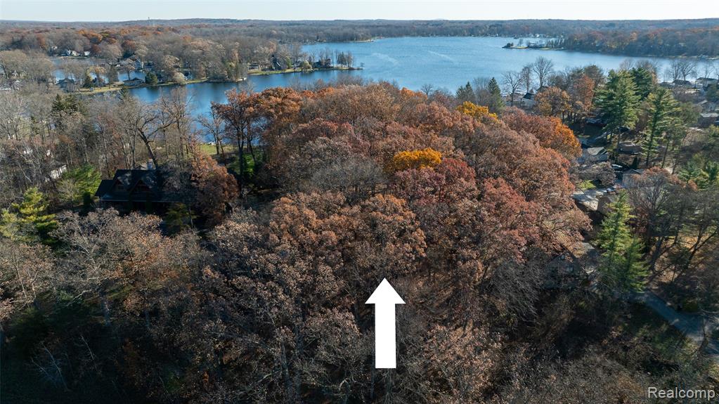 10239 Kress Road Pinckney, MI 48169 - Photo 5 of 9