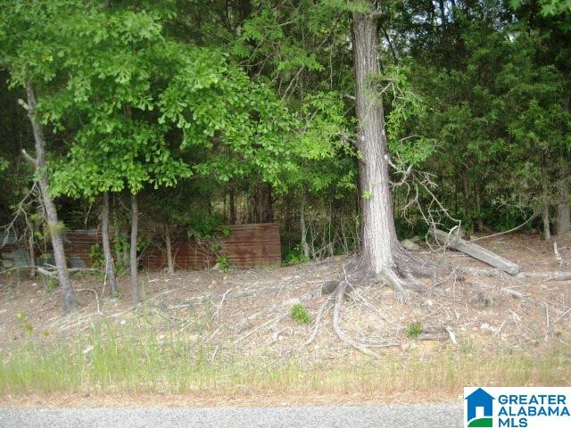 0 Sulphur Springs Road, Unit 10 ACRES Lincoln, AL 35096 - Photo 19 of 32