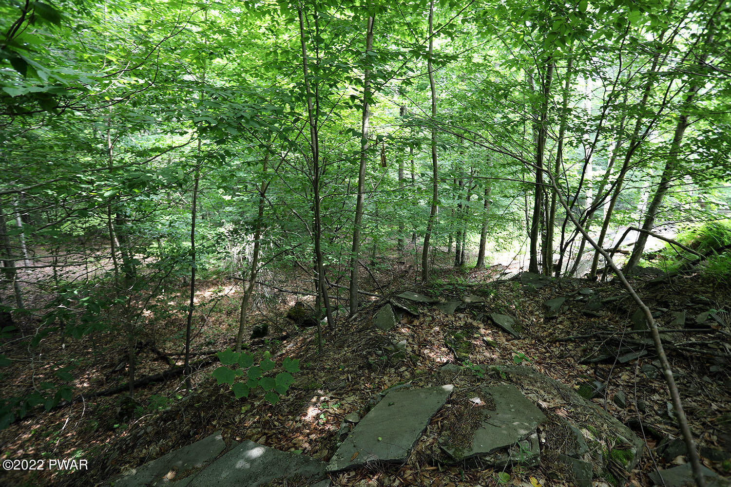 0 Minckler Mountain Road Damascus, PA 18415 - Photo 32 of 43