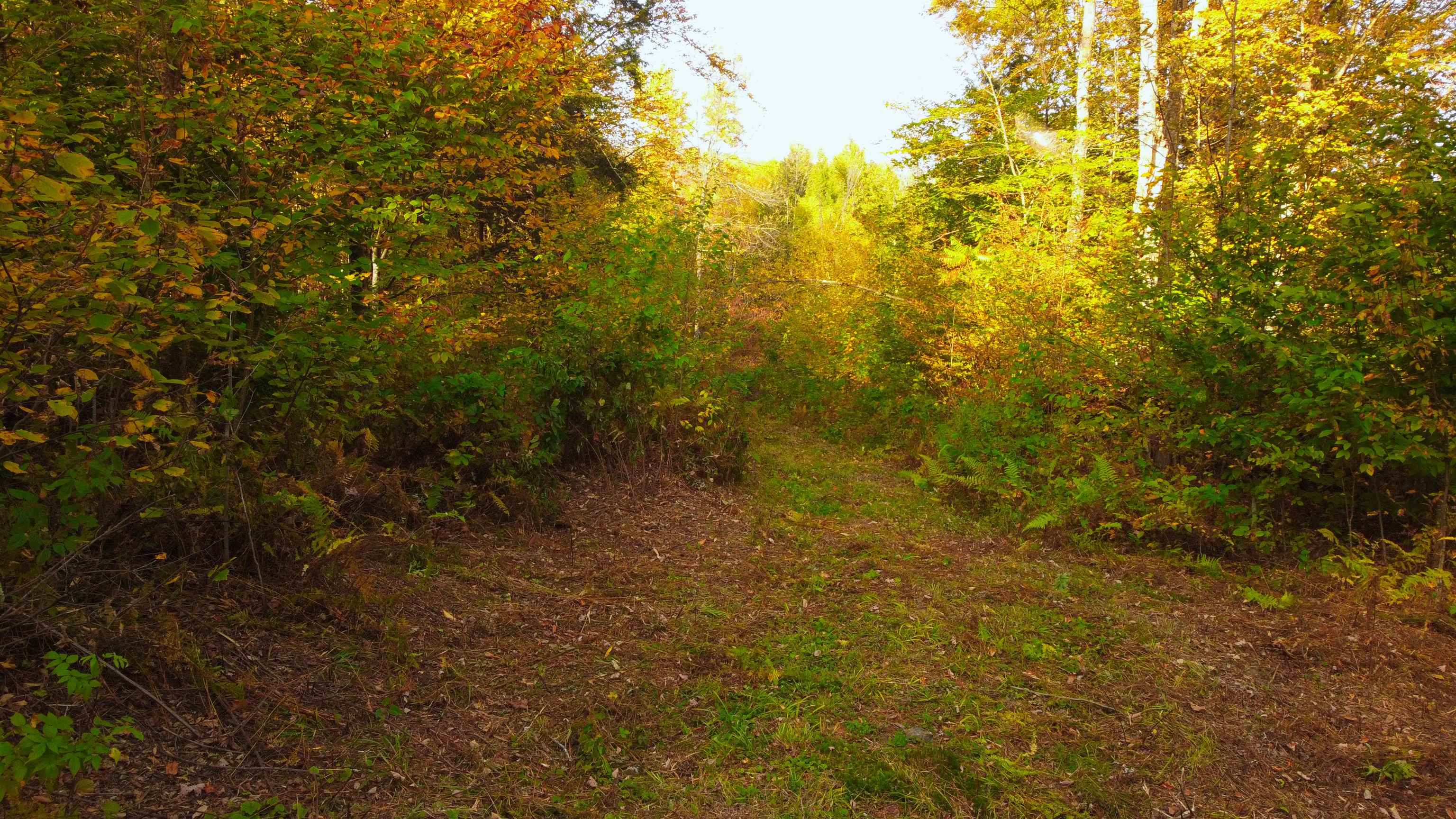 463 Old Talc Mine Road Waitsfield, VT 05660 - Photo 2 of 15