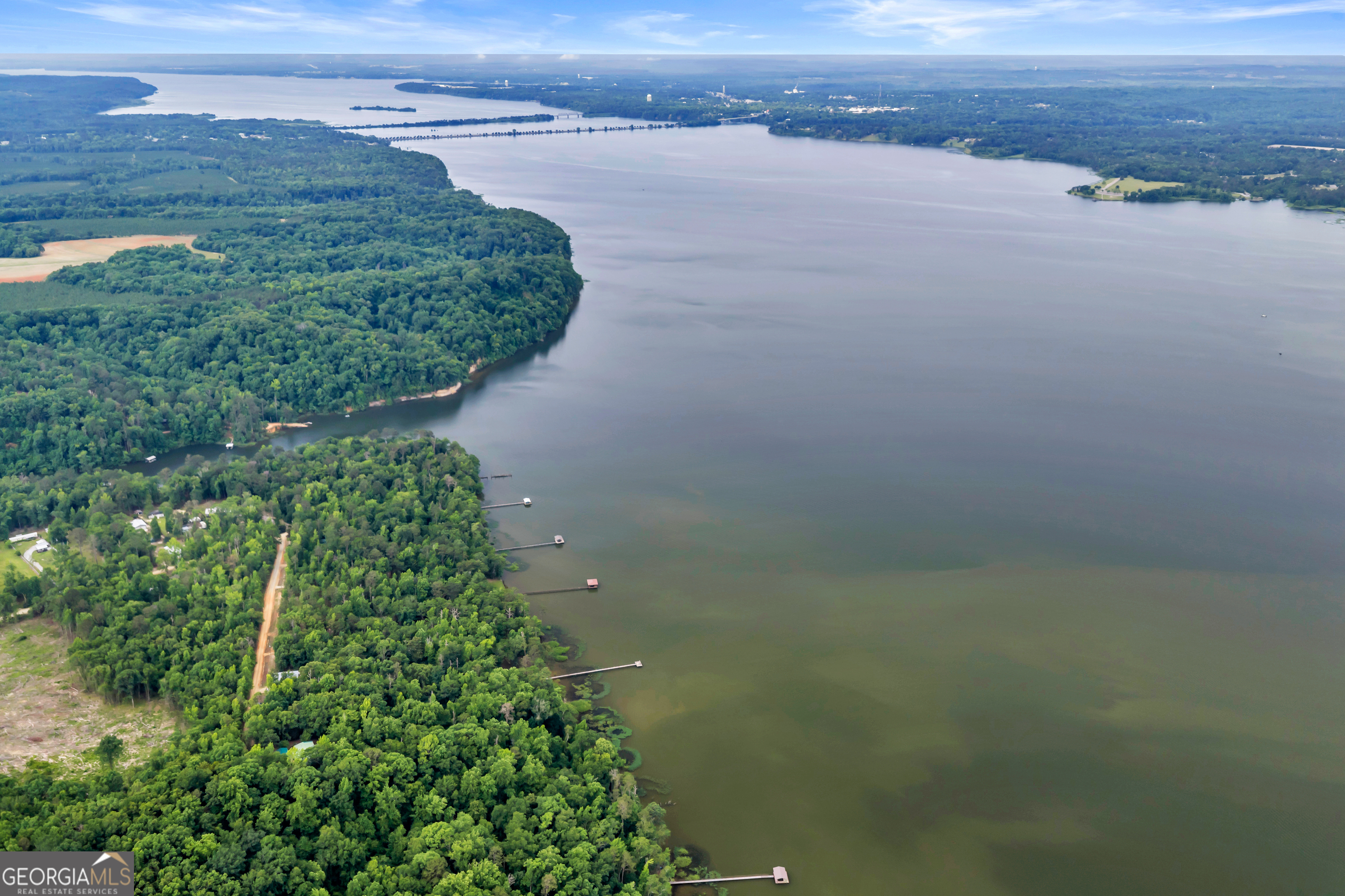 473 Vining Branch Road Georgetown, GA 39854 - Photo 21 of 43 a view of a lake from a yard