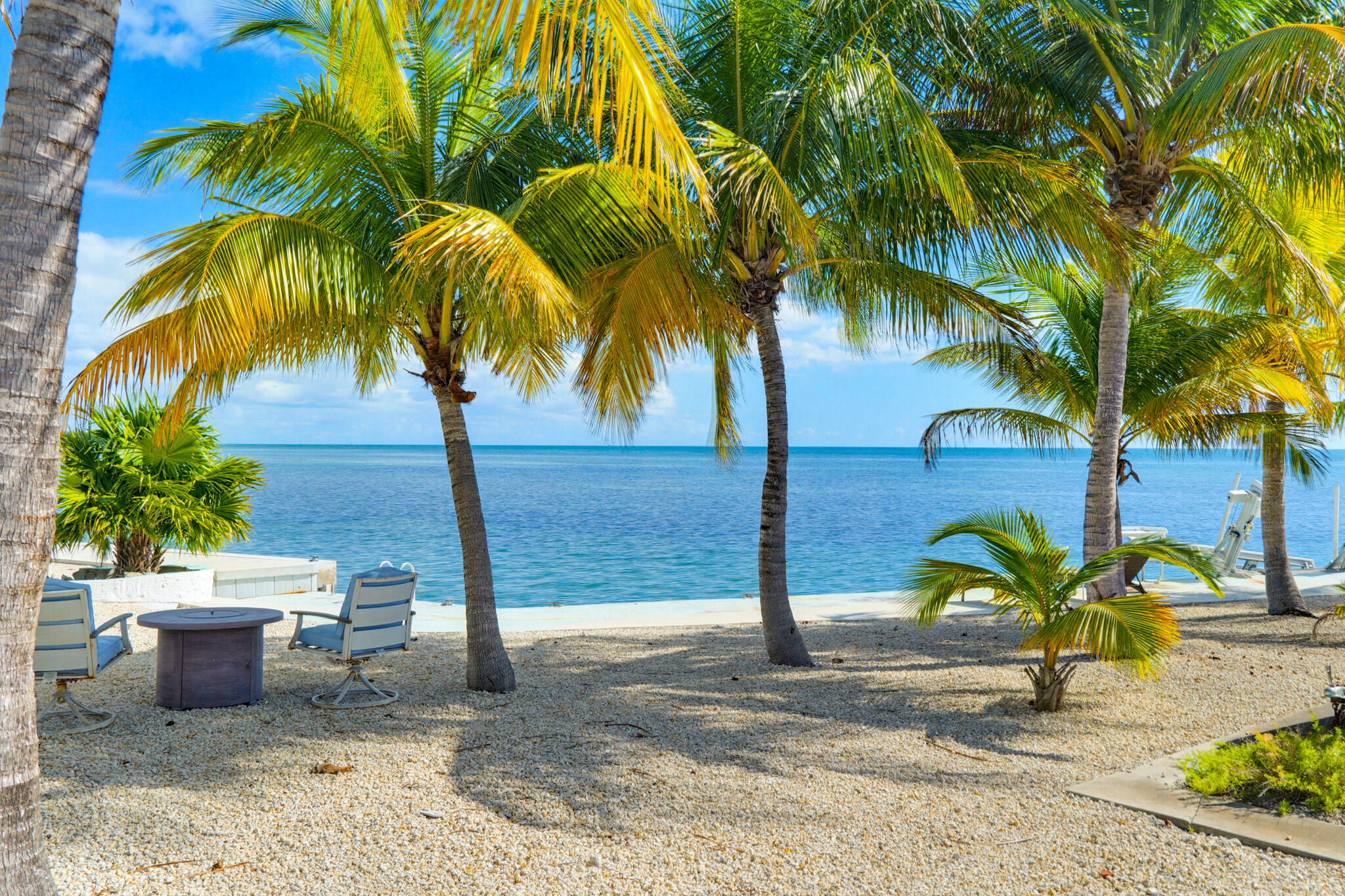 183 Star Lane Key West, FL 33040 - Photo 62 of 70 a view of a yard with palm trees