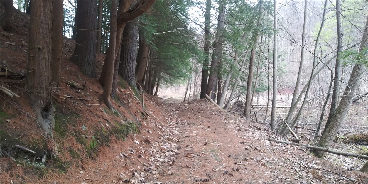 0 Poags Hole Road Dansville, NY 14437 - Photo 1 of 22