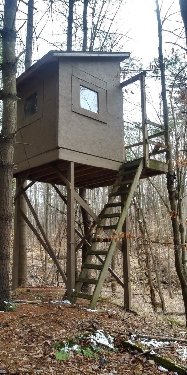 0 Poags Hole Road Dansville, NY 14437 - Photo 11 of 22