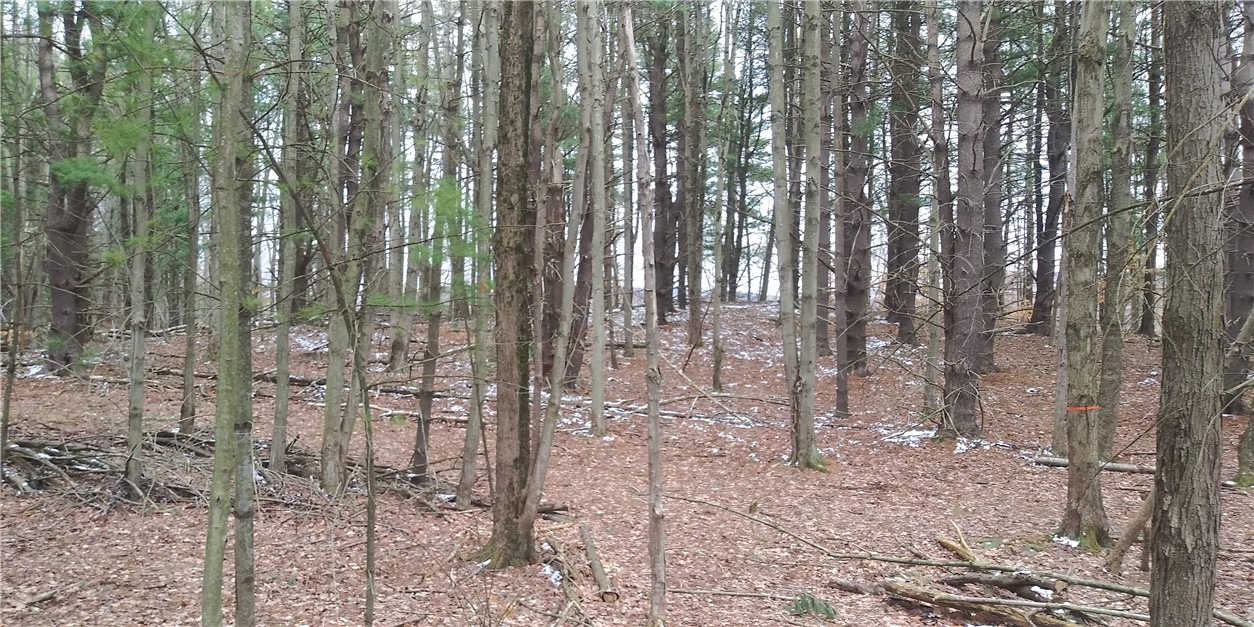 0 Poags Hole Road Dansville, NY 14437 - Photo 12 of 22