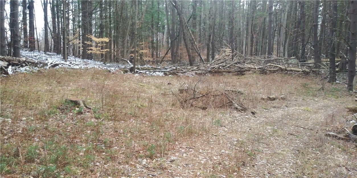 0 Poags Hole Road Dansville, NY 14437 - Photo 13 of 22