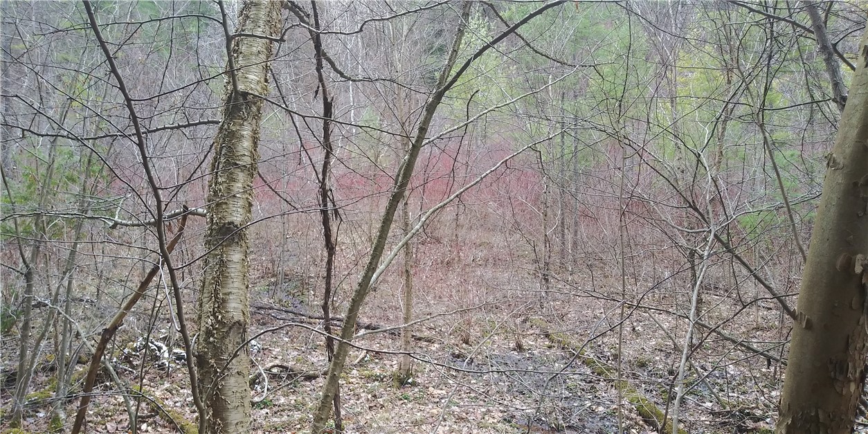 0 Poags Hole Road Dansville, NY 14437 - Photo 14 of 22