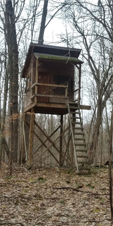 0 Poags Hole Road Dansville, NY 14437 - Photo 15 of 22