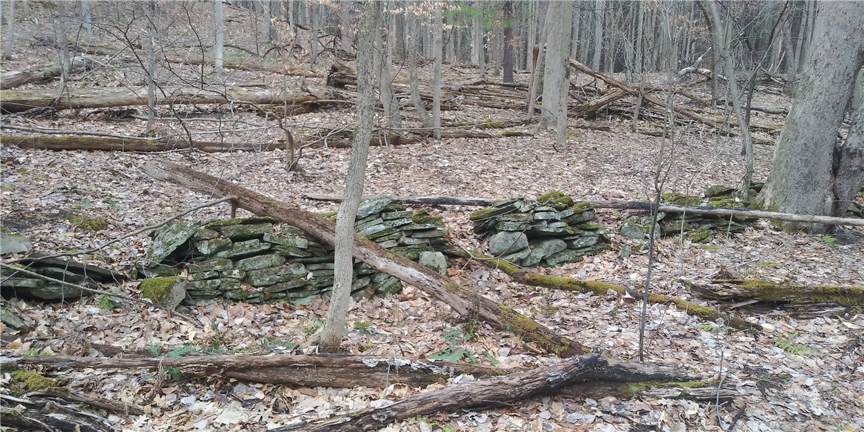 0 Poags Hole Road Dansville, NY 14437 - Photo 16 of 22