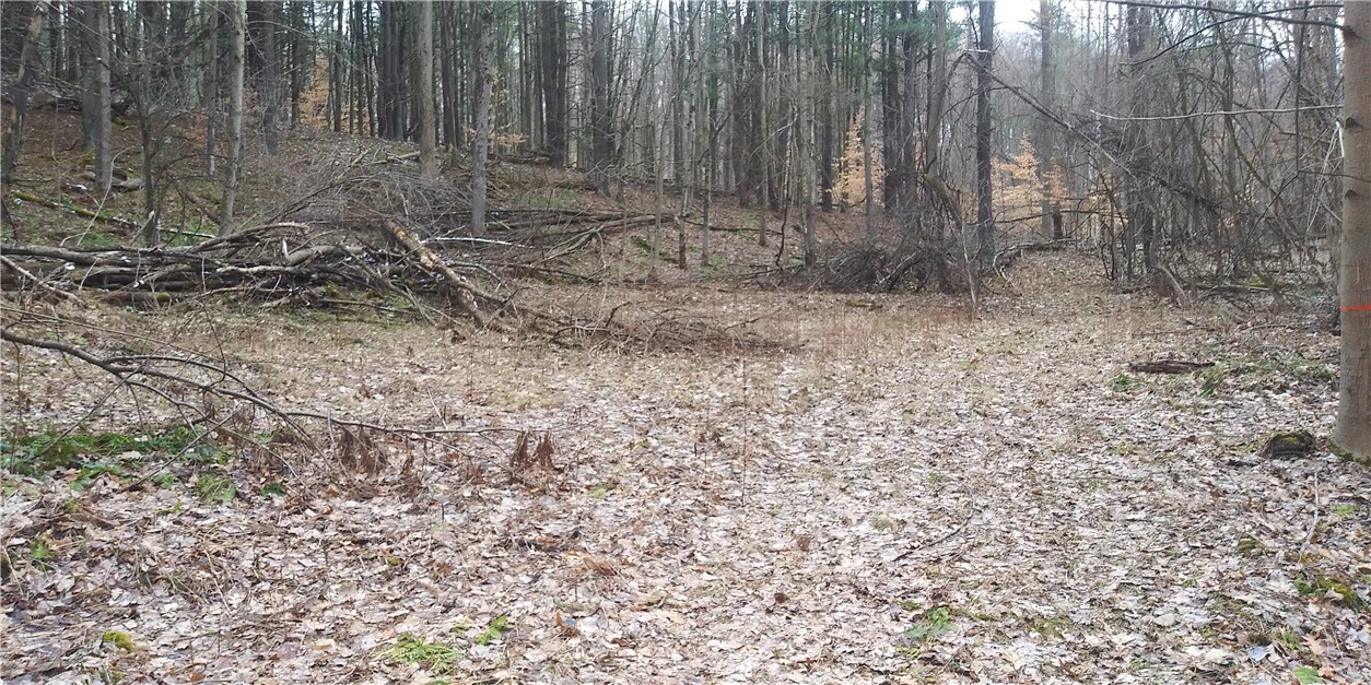 0 Poags Hole Road Dansville, NY 14437 - Photo 17 of 22