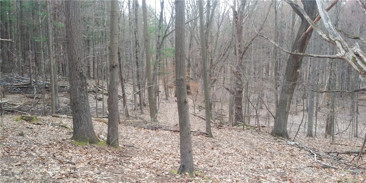 0 Poags Hole Road Dansville, NY 14437 - Photo 18 of 22