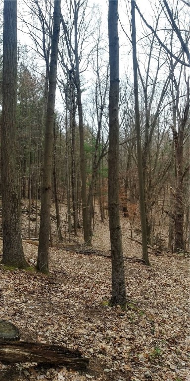 0 Poags Hole Road Dansville, NY 14437 - Photo 19 of 22