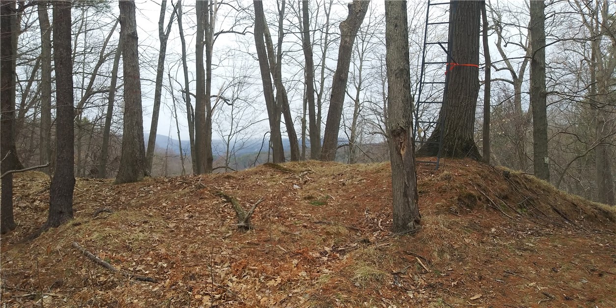 0 Poags Hole Road Dansville, NY 14437 - Photo 20 of 22