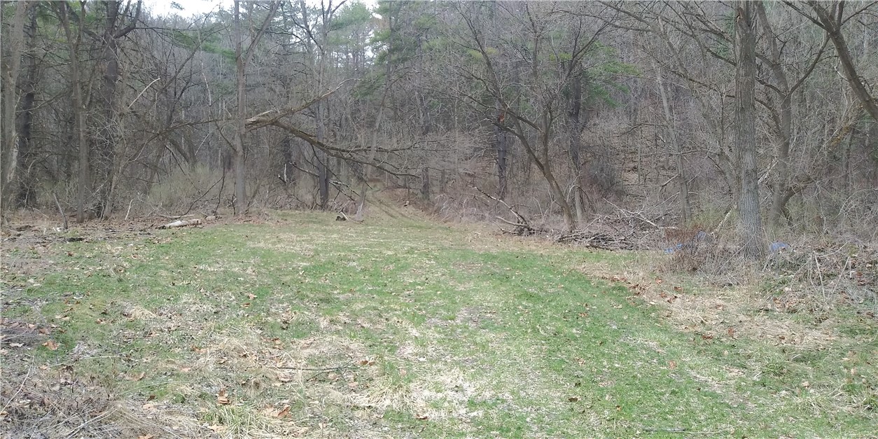 0 Poags Hole Road Dansville, NY 14437 - Photo 2 of 22