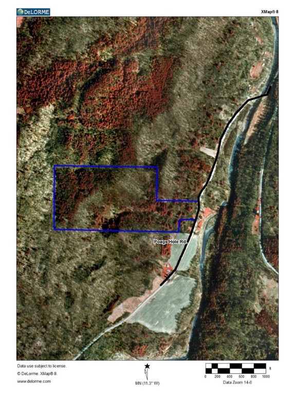 0 Poags Hole Road Dansville, NY 14437 - Photo 21 of 22