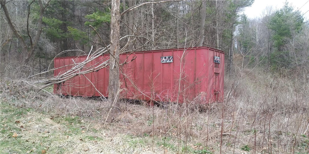 0 Poags Hole Road Dansville, NY 14437 - Photo 3 of 22