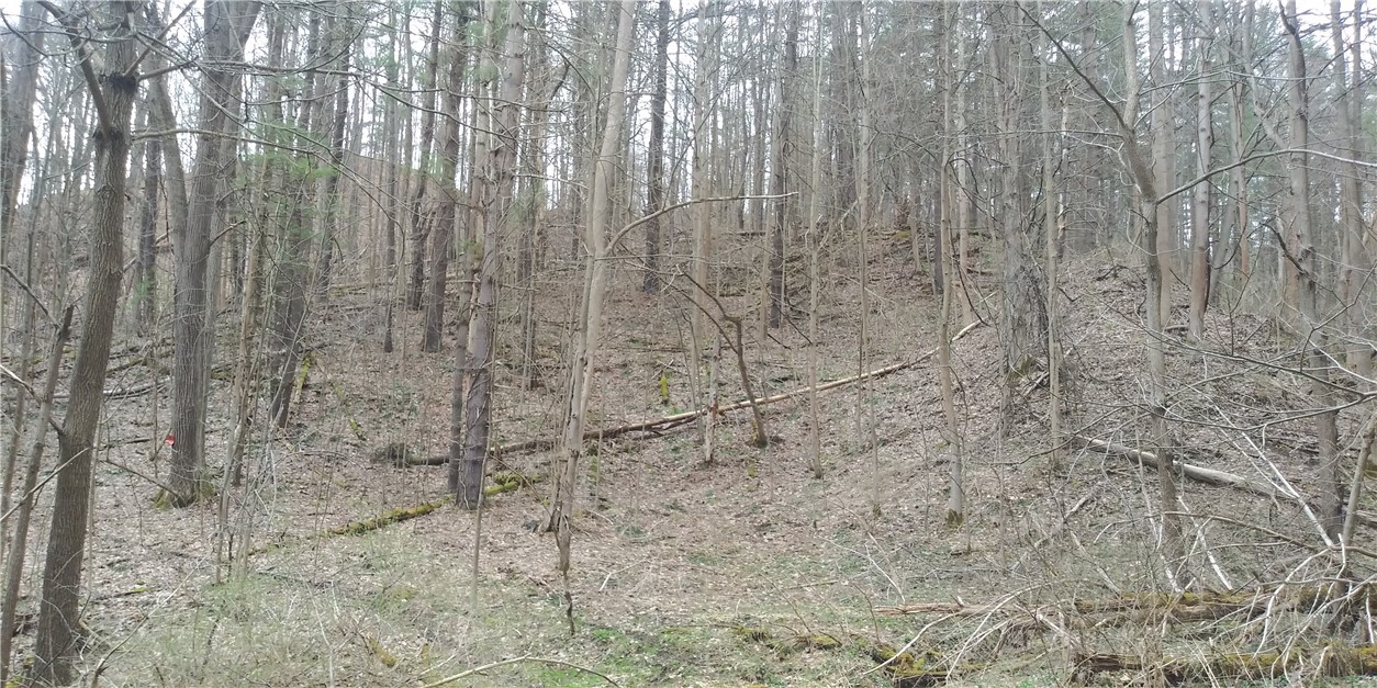 0 Poags Hole Road Dansville, NY 14437 - Photo 4 of 22