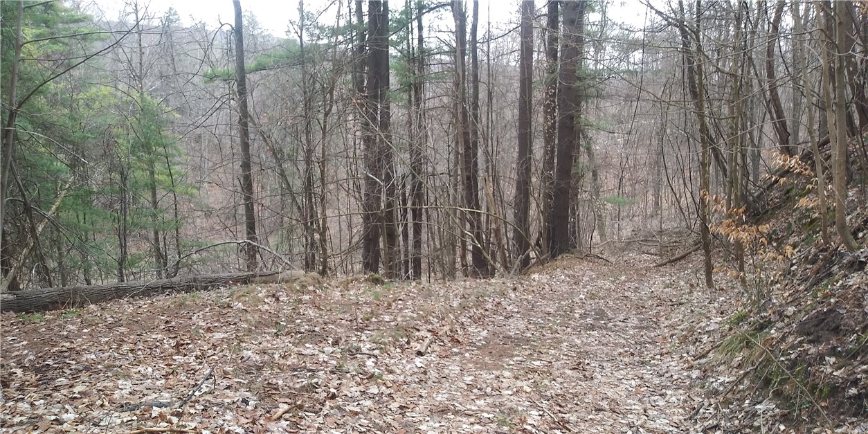 0 Poags Hole Road Dansville, NY 14437 - Photo 6 of 22