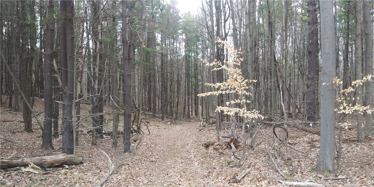 0 Poags Hole Road Dansville, NY 14437 - Photo 7 of 22