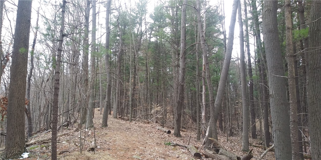 0 Poags Hole Road Dansville, NY 14437 - Photo 8 of 22