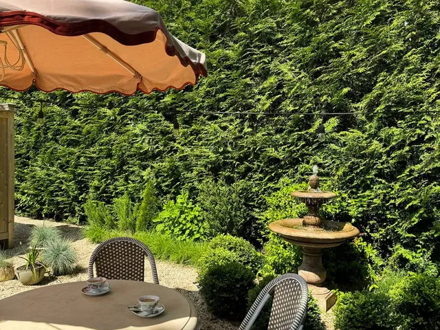 a view of a bench in the backyard