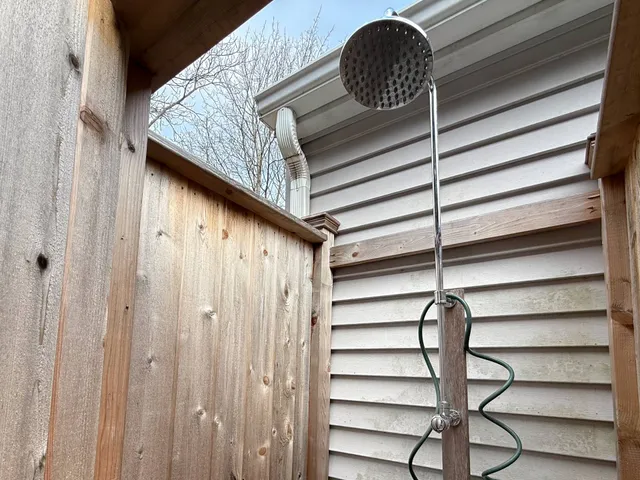 a bunch of flowers are in a garden