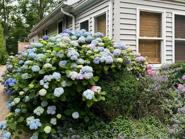 $25,000 | 77 Hillcrest Avenue, Southampton, NY 11968