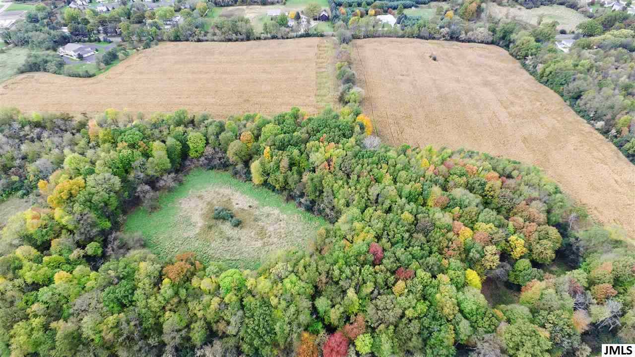 V/l South Dearing Road, Unit 40 ACRES VACANT LAND S DE Spring Arbor, MI 49283 - Photo 11 of 23