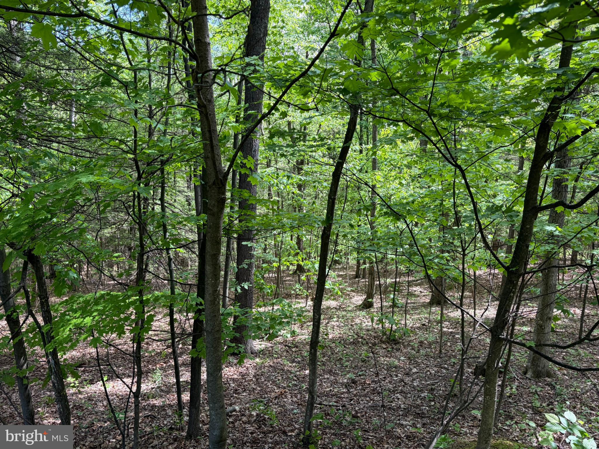 9766 Valley View Road Three Springs, PA 17264 - Photo 41 of 47
