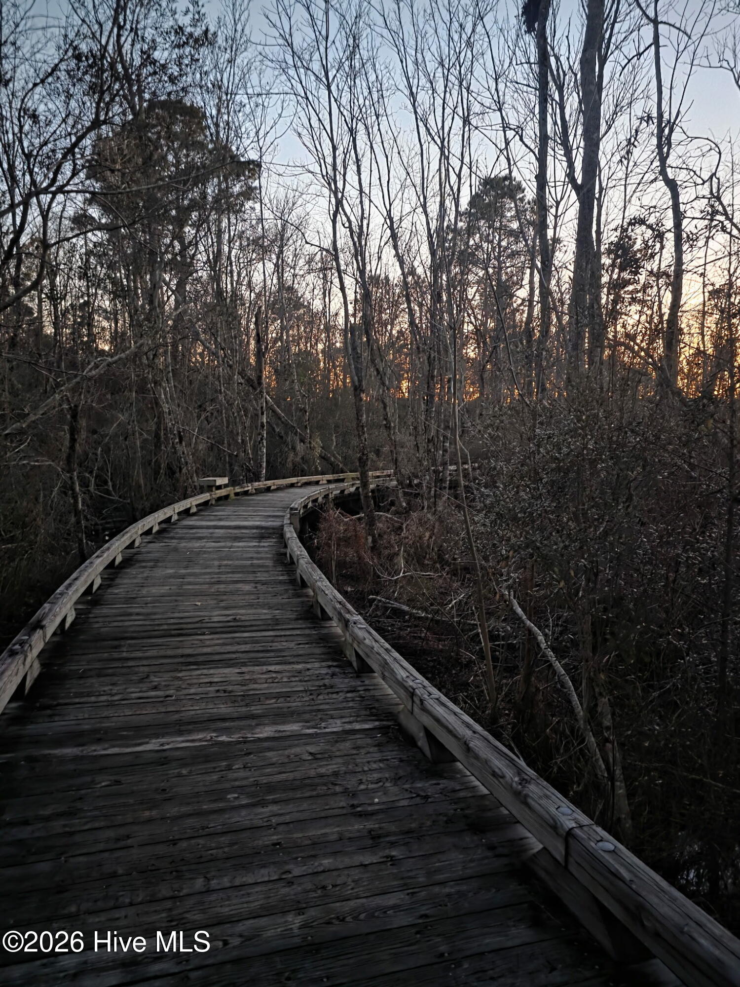 1491 Round Ridge Road Southeast Bolivia, NC 28422 - Photo 52 of 53 1491 Round Ridge Rd Trail 2