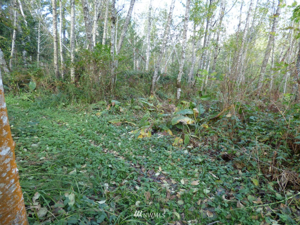 5501 Johnson Point Road Northeast Olympia, WA 98516 - Photo 12 of 15 Gallery Image 12