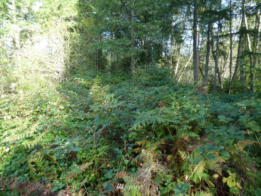 5501 Johnson Point Road Northeast Olympia, WA 98516 - Photo 7 of 15 Gallery Image 7