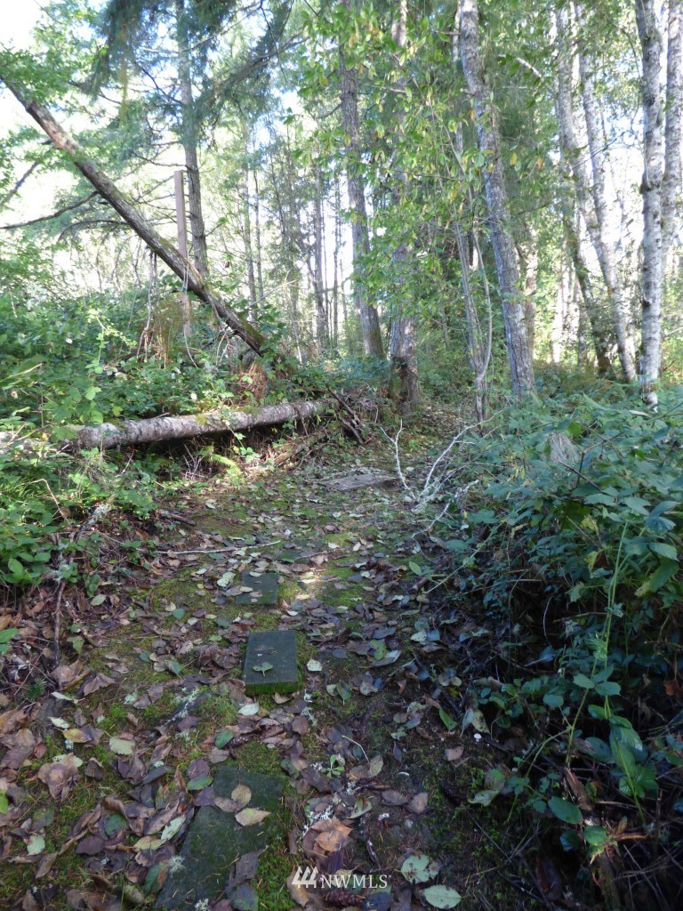 5501 Johnson Point Road Northeast Olympia, WA 98516 - Photo 10 of 15 Gallery Image 10
