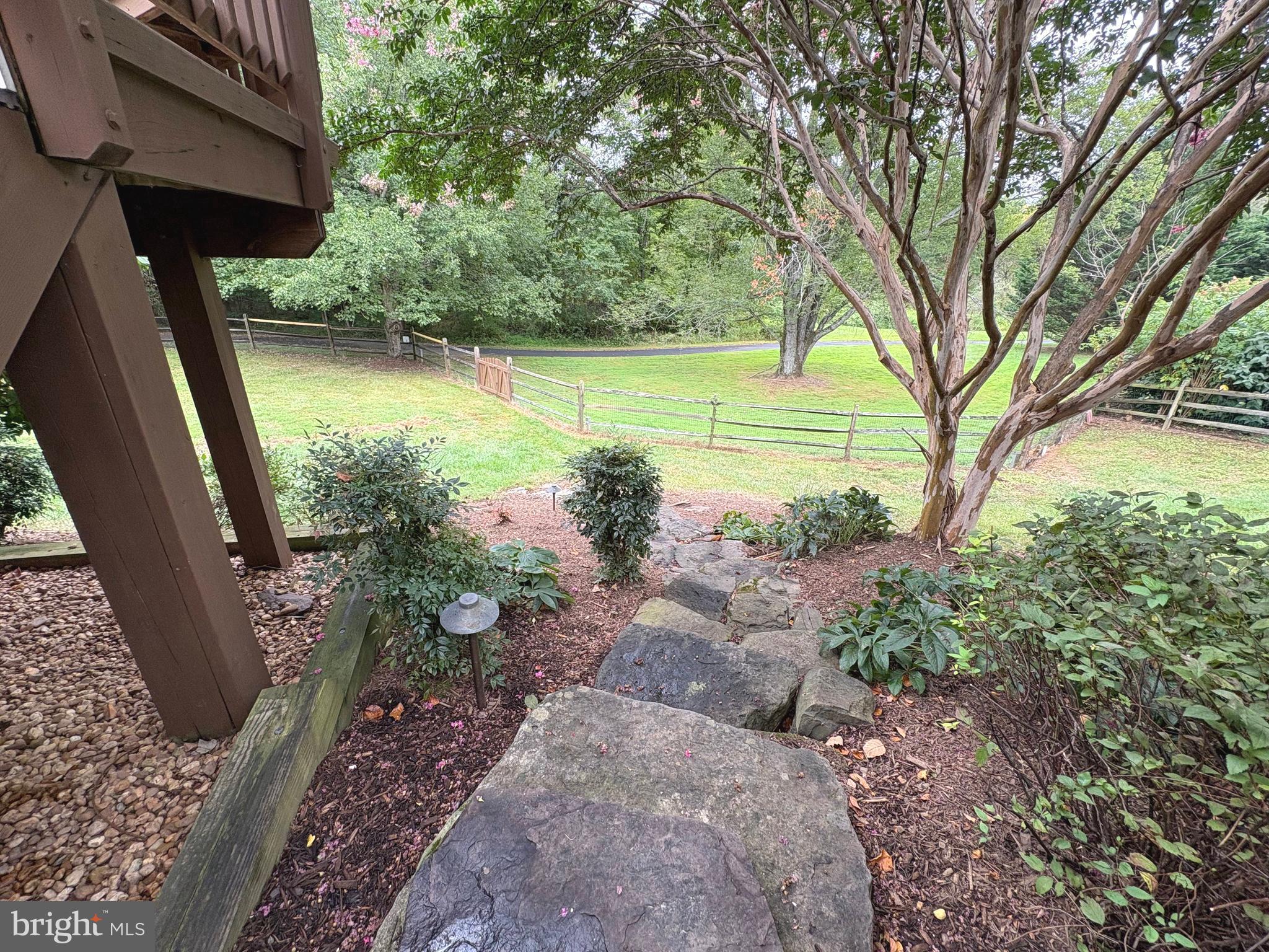 1151 Fieldview Drive Reston, VA 20194 - Photo 70 of 79 a view of a backyard with large trees