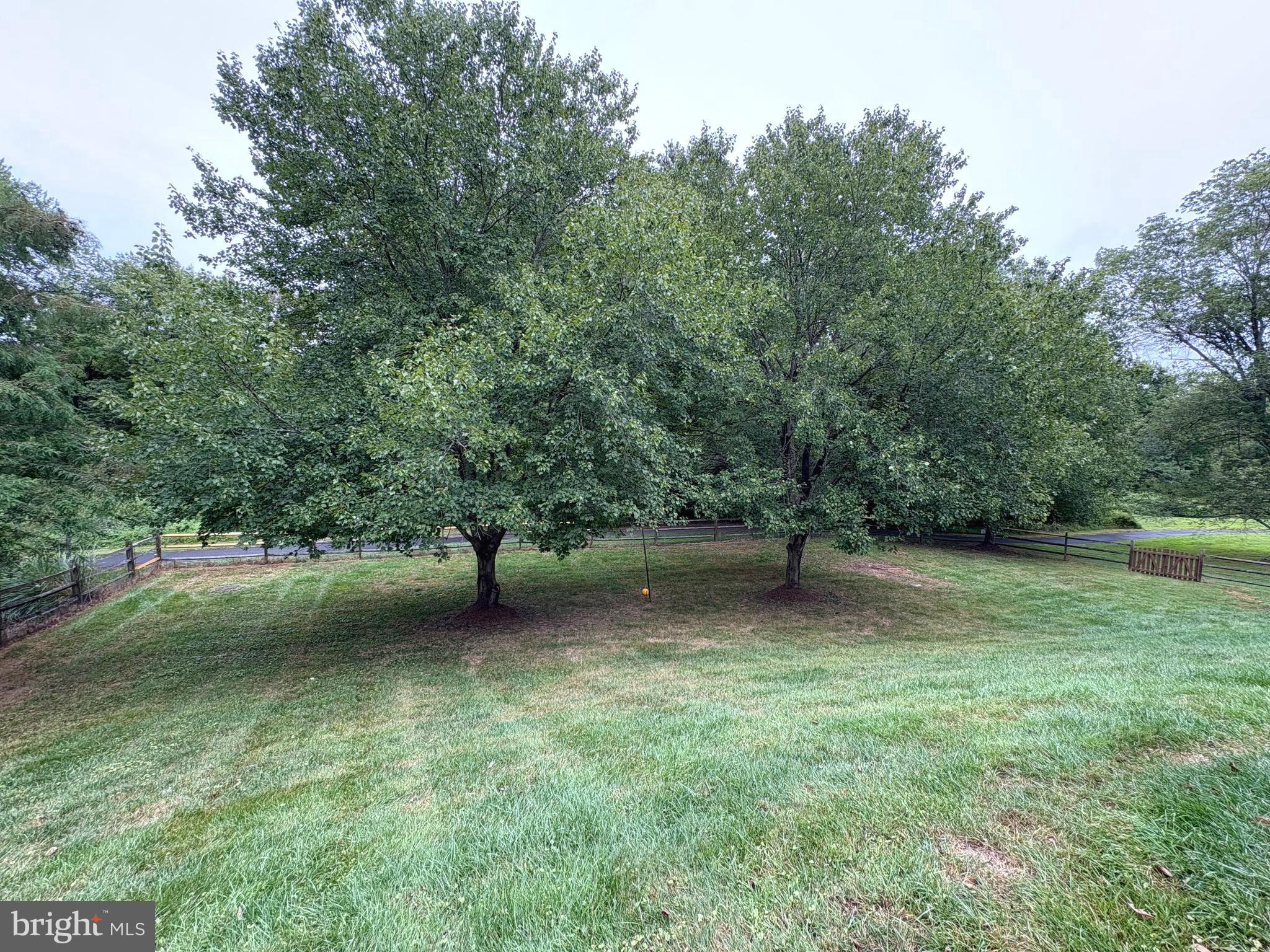 1151 Fieldview Drive Reston, VA 20194 - Photo 74 of 79 a view of a outdoor space