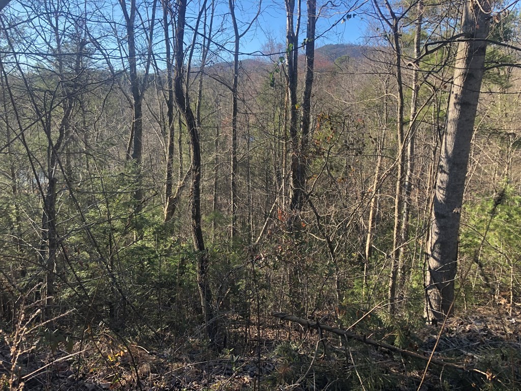 53 Butternut Lane Sevierville, TN 37876 - Photo 3 of 8