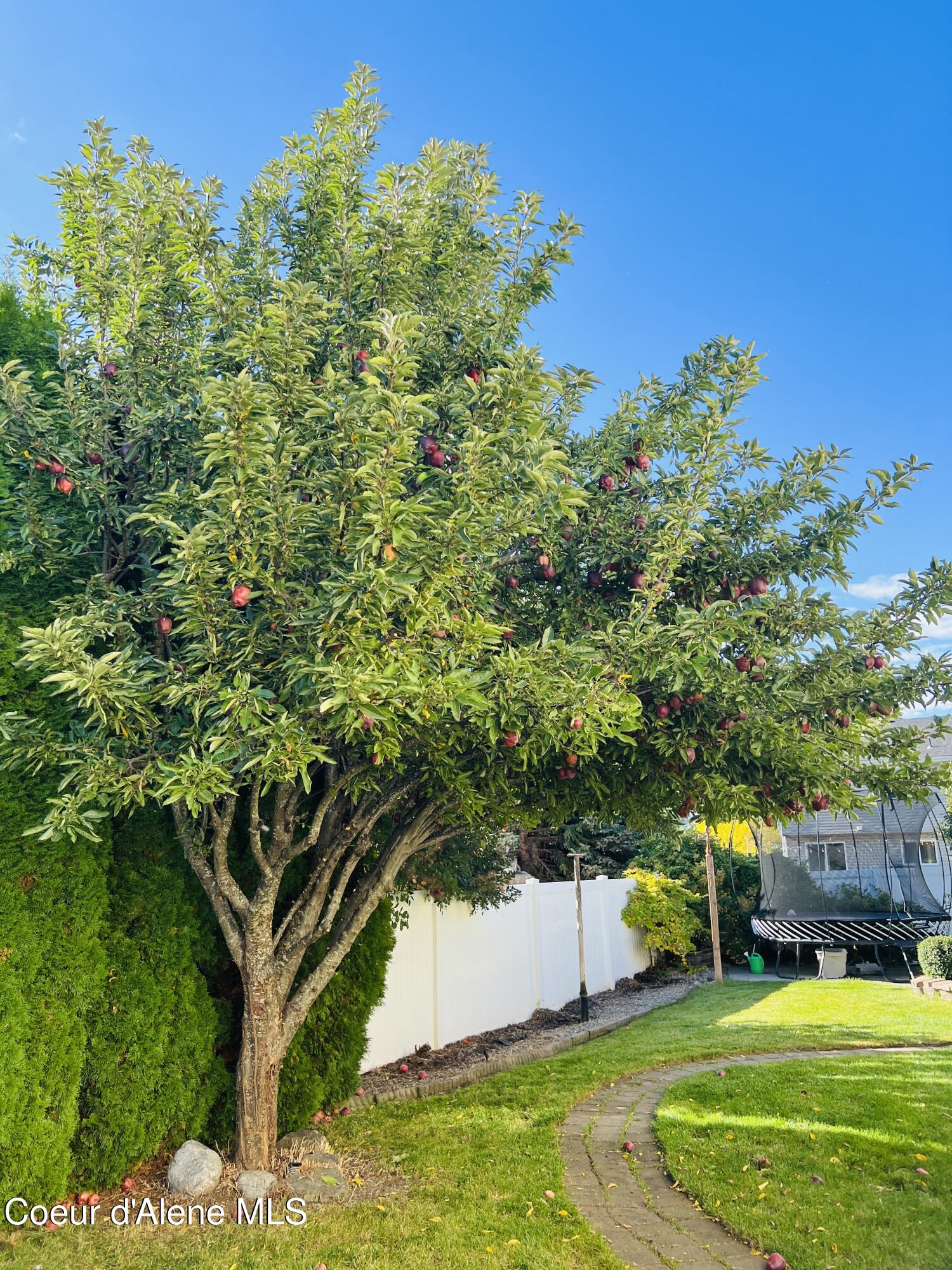 3588 West Loxton Loop Coeur D'Alene, ID 83815 - Photo 45 of 50 IMG_4321