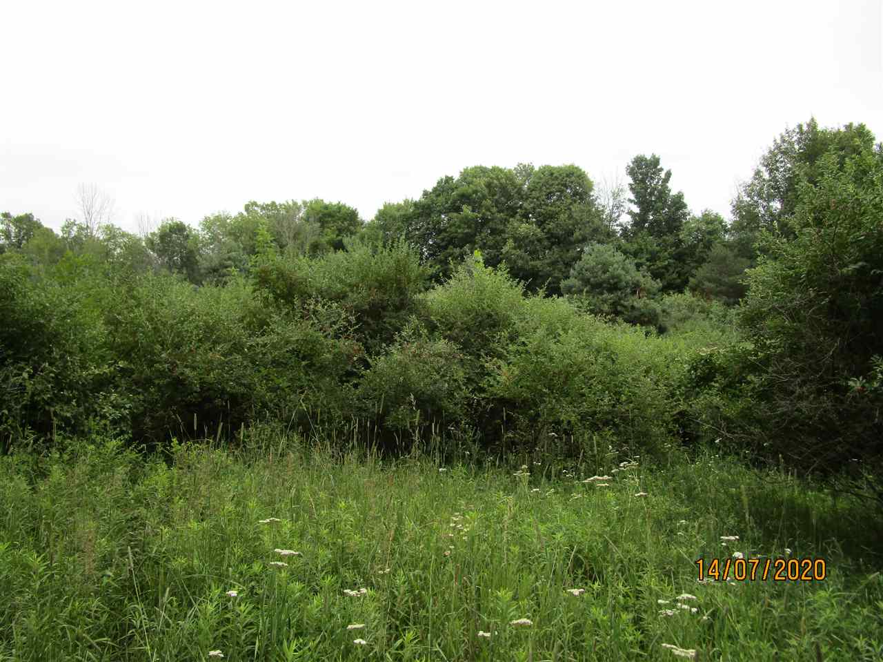 2652 4 Mile Road Blanchard, MI 49310 - Photo 35 of 40 1877269-34.JPG
