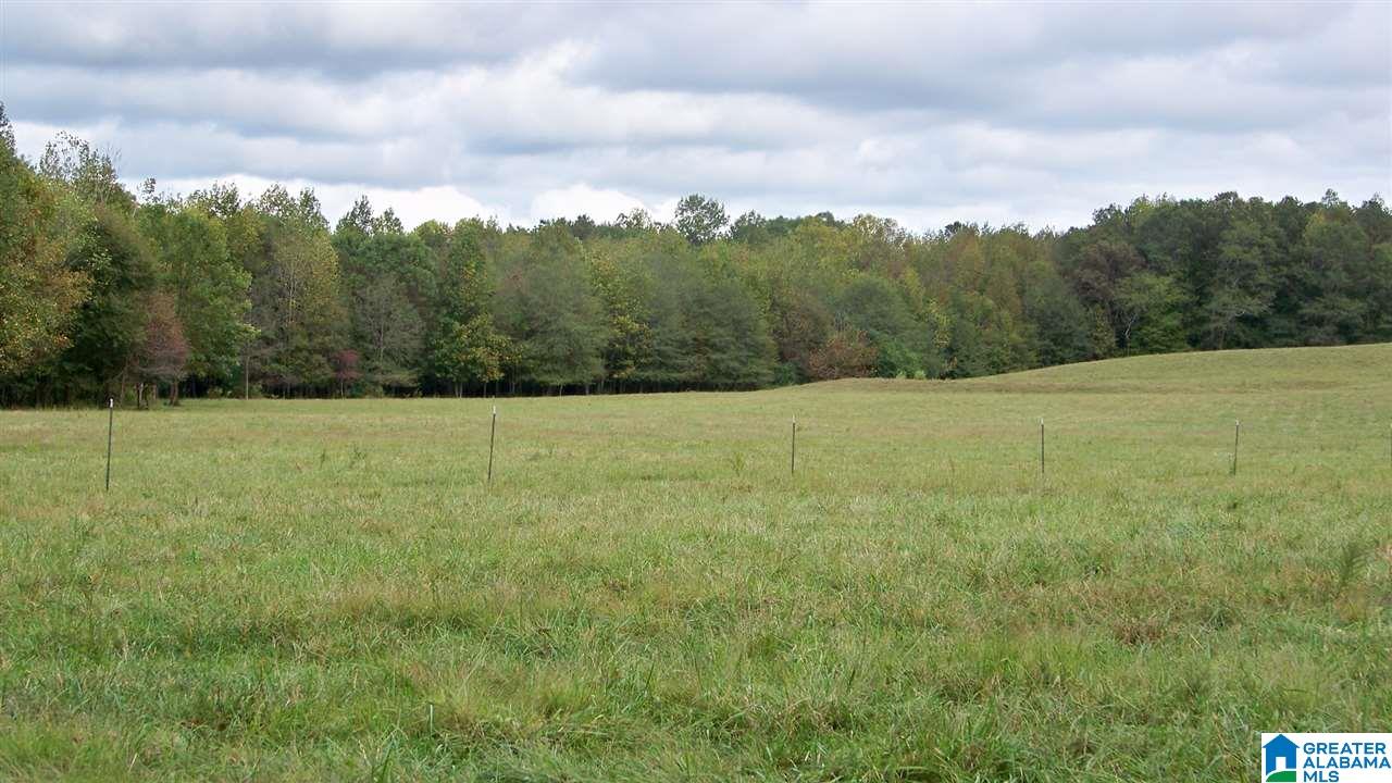455 Bristow Creek Road Altoona, AL 35952 - Photo 9 of 21