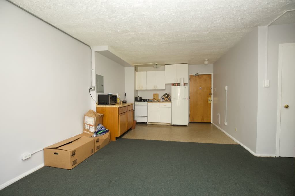 7333 North Ridge Boulevard, Unit 201 Chicago, IL 60645 - Photo 9 of 17