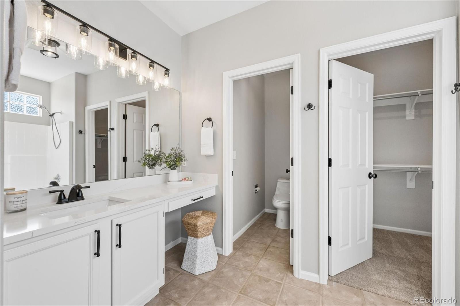 10098 MacKay Drive Highlands Ranch, CO 80130 - Photo 19 of 42 a bathroom with a sink and a mirror