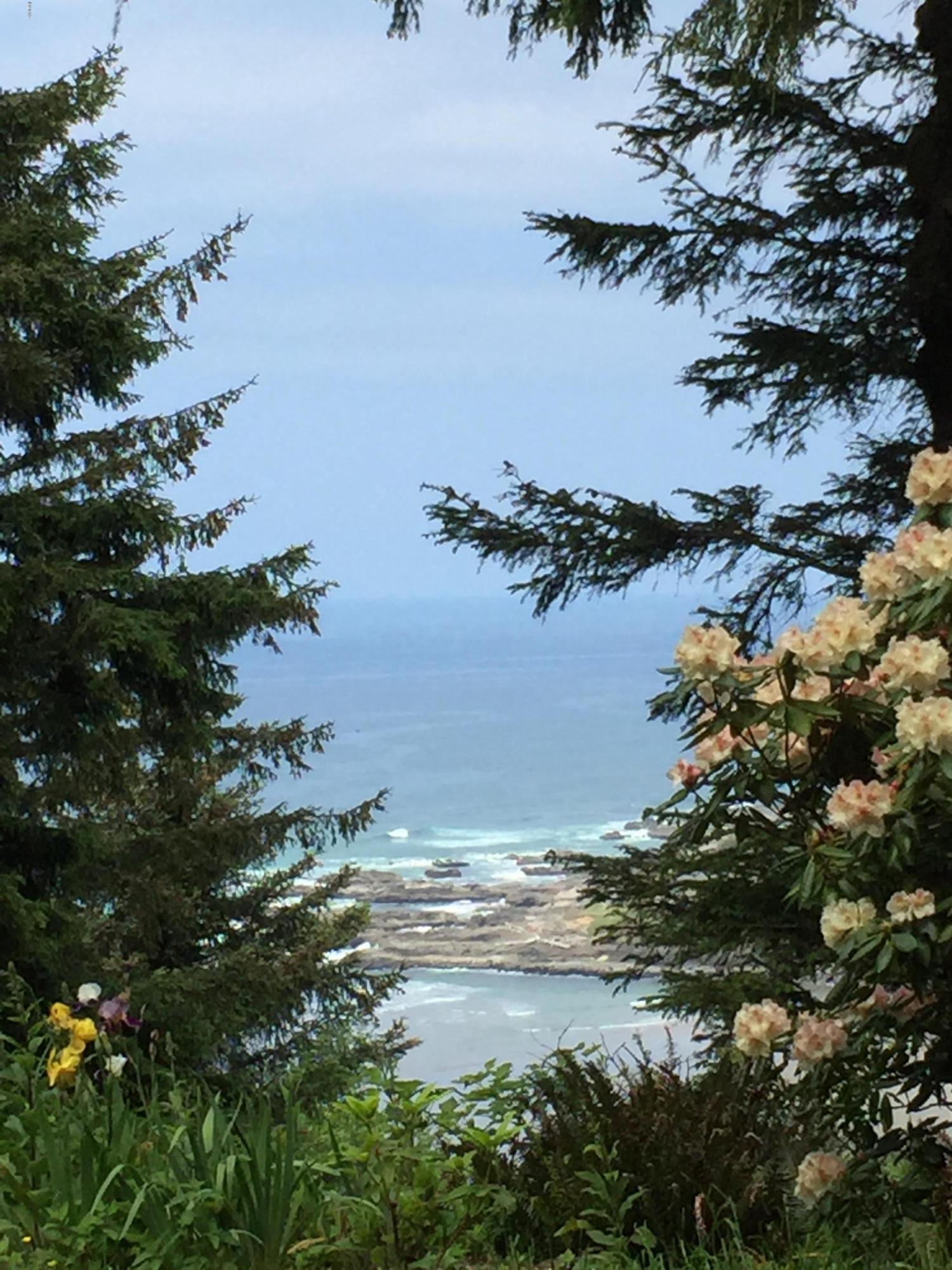 122 Reeves Circle Yachats, OR 97498 - Photo 5 of 40 Reeves Circle VIEW through rhododendron