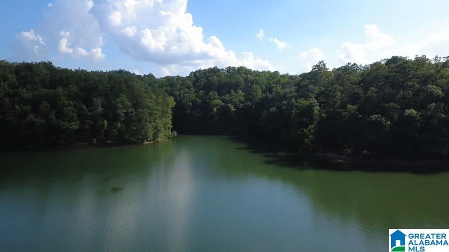 111 Quiet Cove Road Jasper, AL 35503 - Photo 21 of 28 Gallery Image 21